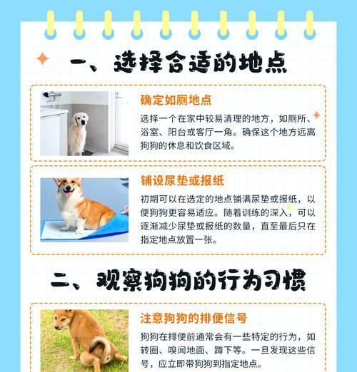 狗狗如何控制大小便？（训练狗狗养成正确大小便习惯）