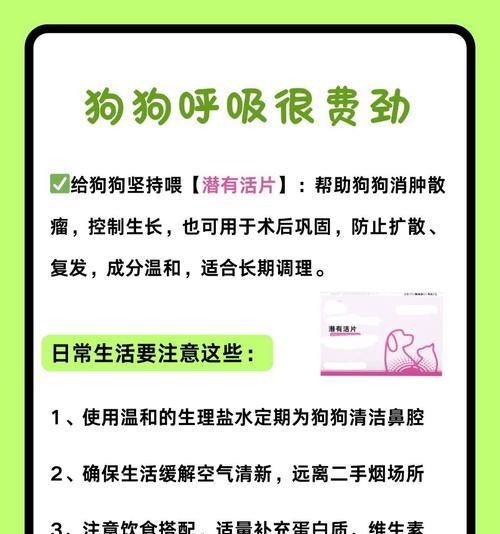 揭秘狗狗打呼噜的奥秘（解析狗狗打呼噜的5种情况，让你更了解它们）