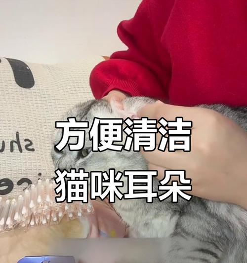 如何正确清洁猫咪耳朵（了解猫咪耳朵清洁的时间和方法）