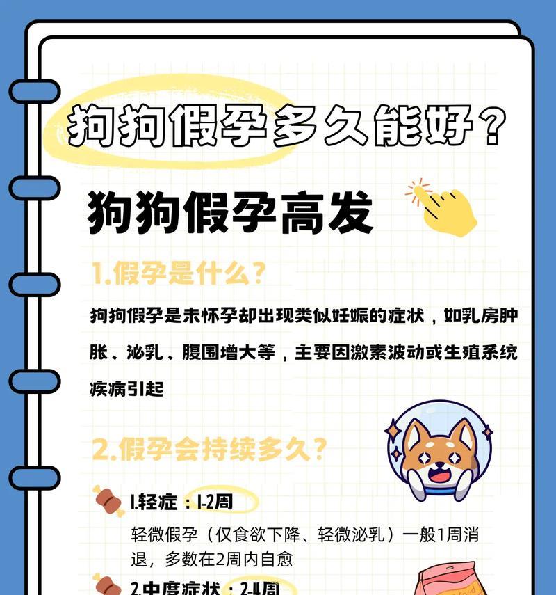 泰迪怀孕期多久？（了解泰迪犬的妊娠周期及重要注意事项）