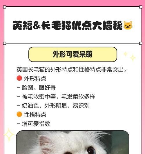 英短剪毛多久长出来？（探究英短猫剪毛后毛发再生周期及影响因素）