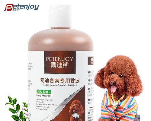 幼犬泰迪犬的洗澡频率（如何科学合理地给幼犬泰迪犬洗澡）