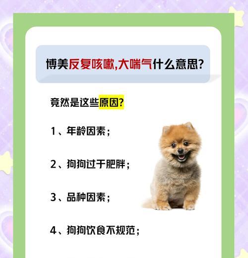 探究博美狗狗嘴巴臭的原因及应对方法（解决博美狗狗嘴巴臭的关键技巧）