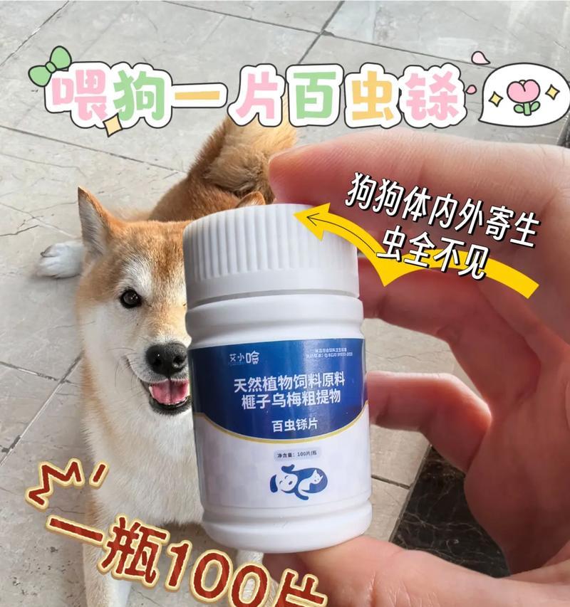 狗狗家里常备药有哪些？（了解必备药品，让狗狗健康无忧）