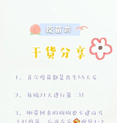 狗狗细小后多久打疫苗？（了解疫苗时间表，守护狗狗的健康）