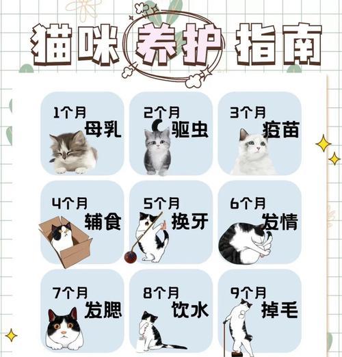 猫咪怀孕期间和分娩时间的计算与预测（了解猫咪的怀孕周期和分娩预测方法，为母猫提供合适的照料与关爱）