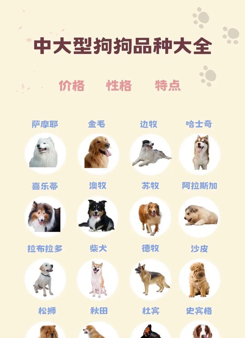 揭秘那些永远长不大的犬种（探寻犬界“小不点”的奥秘）