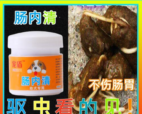 狗吃肠虫清需要多长时间？（探讨狗吃肠虫清的持续时间及关键因素）