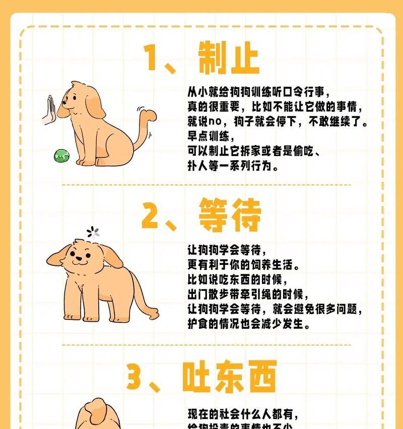 培养狗狗的关键内容（了解关键训练方法，让狗狗成为乖巧听话的宠物）