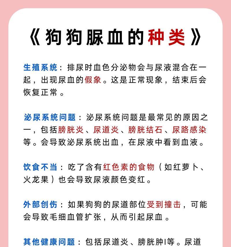 狗狗小便有血的原因及措施（分析狗狗小便有血的原因，采取相应措施保护它的健康）