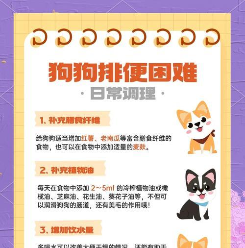 小狗走路多久后会大便？（探究小狗行走时间与排便间隔的关系）