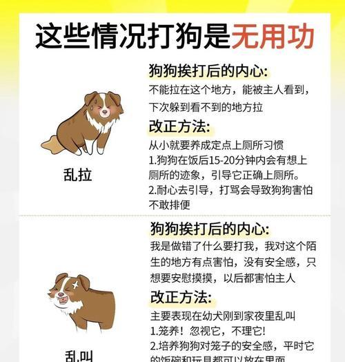 解决哈士奇狼嚎问题的有效方法（让你的家庭宠物更加安静快乐的秘诀）