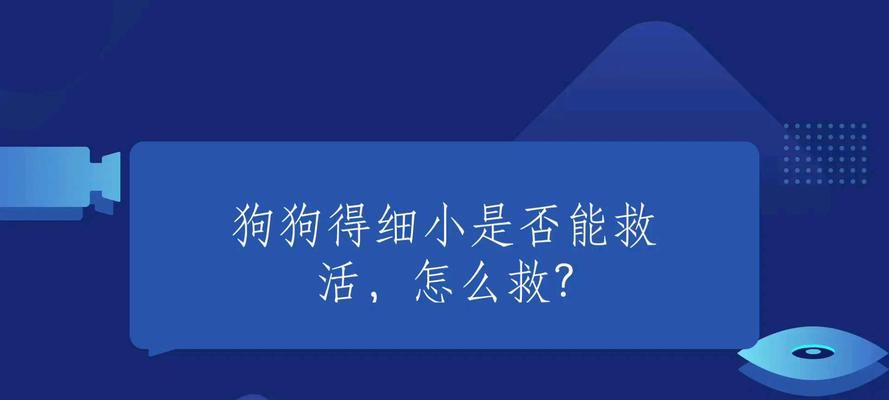 狗狗细小输液后的进食时间（细小狗狗的饮食恢复时间与喂食注意事项）