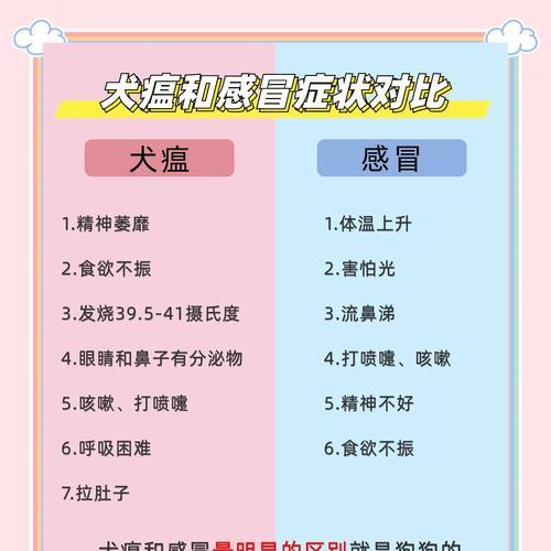 犬瘟狗狗恢复时间及方法解析