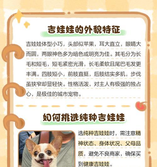 探究吉娃娃脑炎患者的预后情况（以吉娃娃脑炎能活多久为主题的研究）