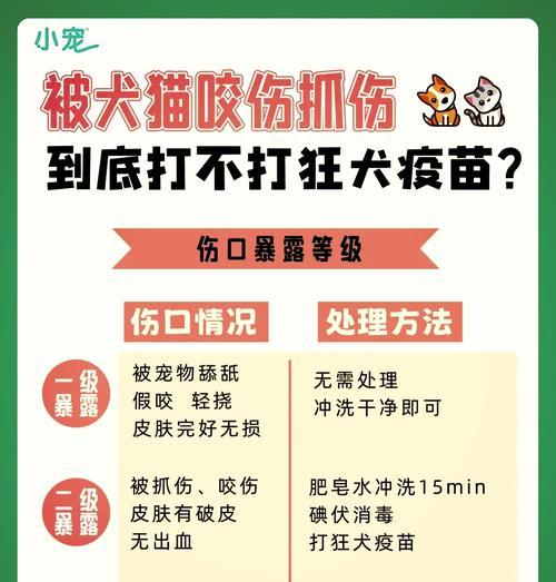 小狗育苗第一次接种疫苗的时间和注意事项（了解小狗疫苗接种的时机和保健要点）