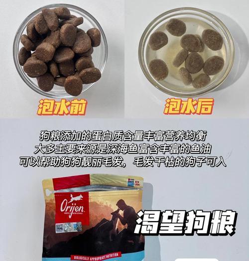 幼犬狗粮的泡发时间与注意事项（合理泡发幼犬狗粮的关键）