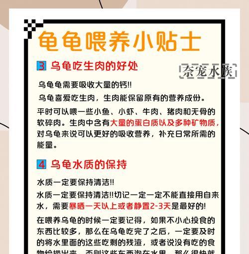 龟干的最佳喂养时长（探讨龟干喂养的最佳时长及关键因素）