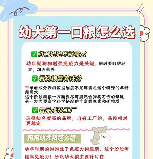 金毛犬疫苗接种时间表（了解金毛犬疫苗接种的最佳时机和注意事项）