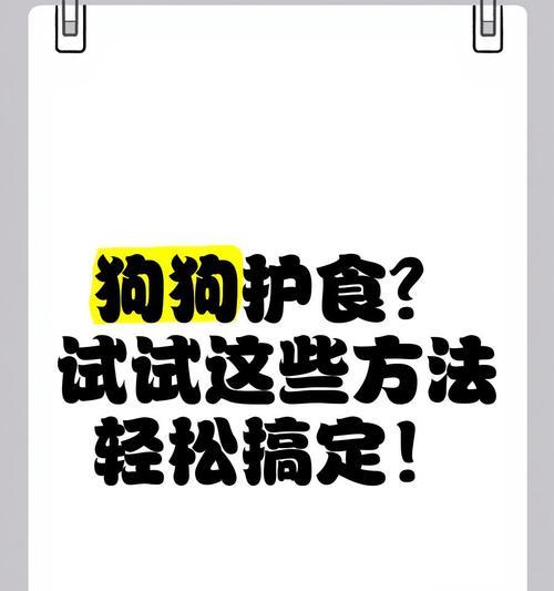 如何让狗狗轻松吃药？（四个技巧帮你解决喂药难题）