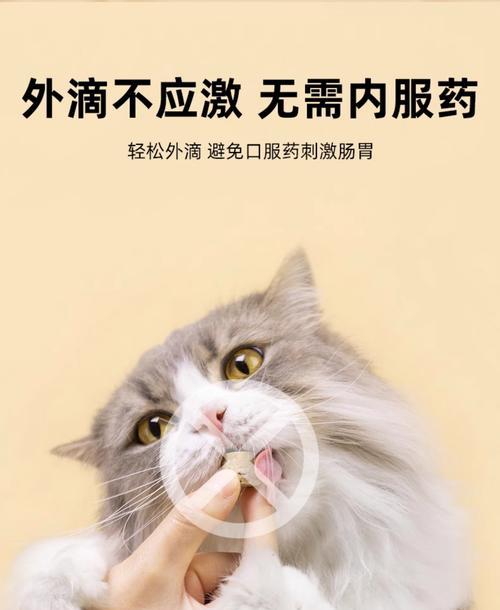 小猫耳螨治疗持续时间及药物使用方法（小猫耳螨治疗需要坚持使用药物，关键是多久用药更为有效？）