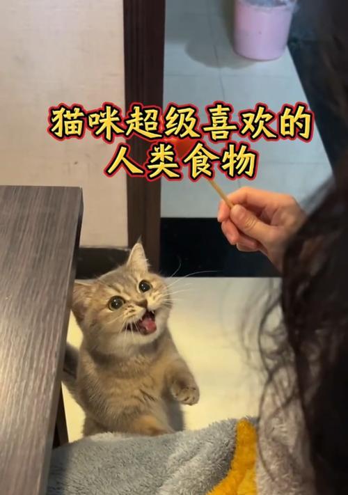 猫咪为何喜欢吃人类食物？（探索猫咪对人类食物的喜爱原因及后果）