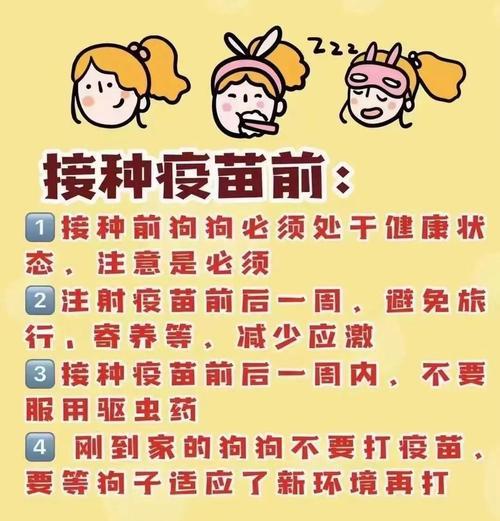 小狗到家后打疫苗的时机与注意事项（新生小狗的疫苗接种时间表及必知事项）