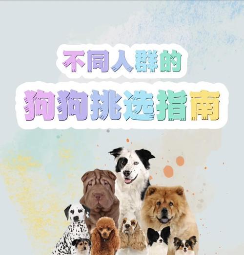 不适合养狗的人群及原因（狗狗需谨慎选择，否则毫无意义）