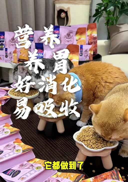 开设猫粮食物店，赚取额外收入（创业小本生意，培养宠物粮食市场，稳定利润）