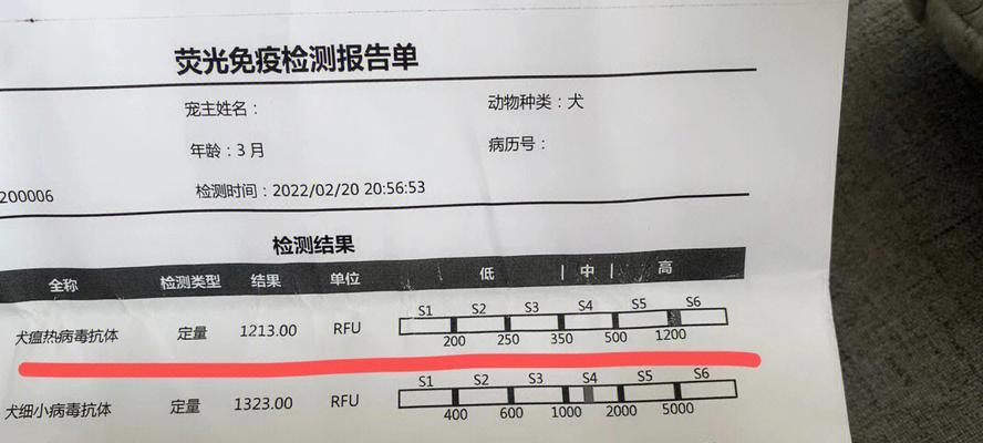 犬瘟注射抗体的作用与时间要求（探究犬瘟注射抗体的保护期限和免疫时间长度）