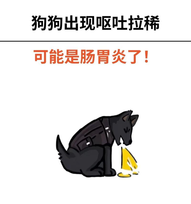 狗肠胃炎拉稀治疗时间解析（了解肠胃炎拉稀的恢复时间，让宠物更健康）