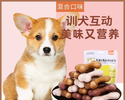 柯基的狗咬胶消费频率（了解柯基狗咬胶消费频率的重要性）
