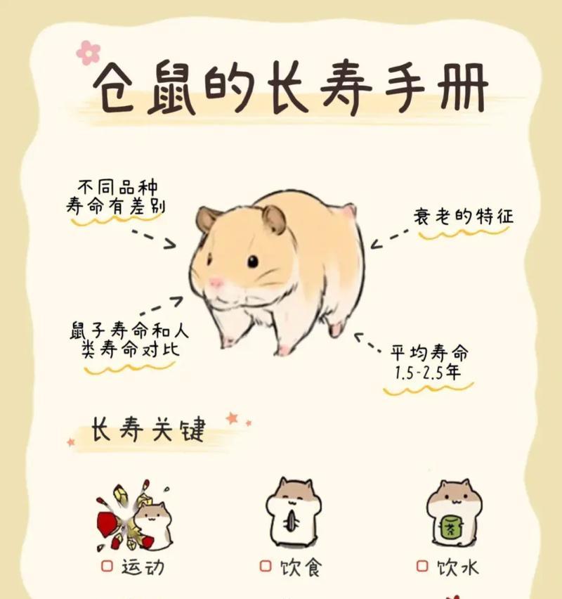 仓鼠的睡眠习惯及睡眠需求（揭秘仓鼠一天的睡眠时长和睡姿，了解关键原因及养护方法）