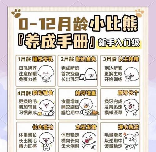 比熊刷牙的频率与注意事项（比熊牙齿清洁的关键一环及刷牙时间掌握）