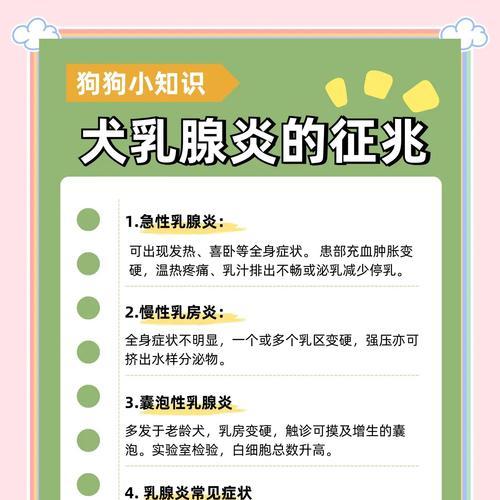 狗狗乳房病症状（了解狗狗乳房病症状及其相关风险，以提早发现并治疗）