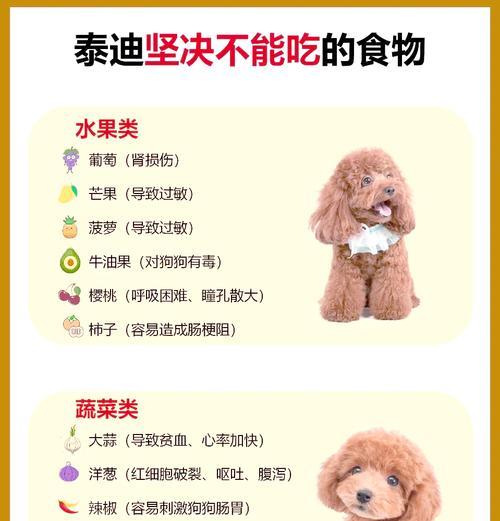 如何训练你的泰迪宠物狗（了解泰迪狗的训练需求与技巧）