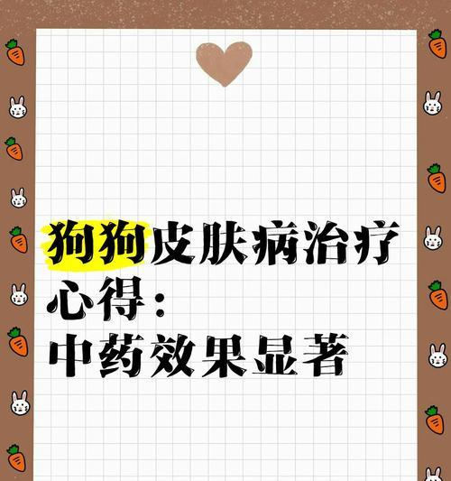 中药毒死狗狗的致命力（揭秘中药中的致命毒素，了解如何保护宠物健康）