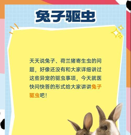 幼兔的驱虫频率对健康的重要性（养兔人必看！幼兔驱虫时间表及注意事项）