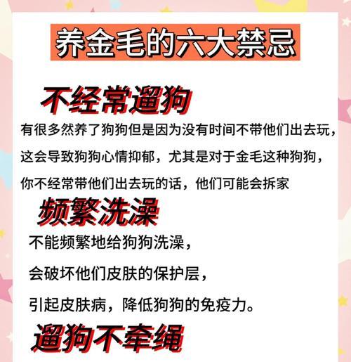金毛犬的长毛周期及护理技巧（了解金毛犬的长毛周期，为您的宠物提供合适的护理）