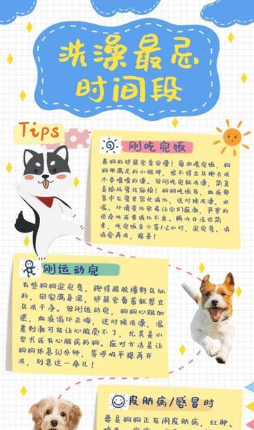 狗狗夏天洗澡的最佳频率（探索狗狗夏天洗澡的最佳时间间隔）