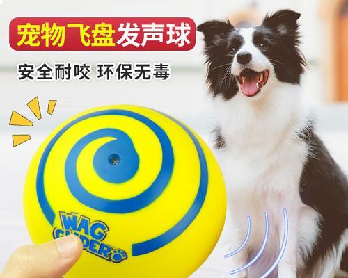 选择哪些狗犬作为飞盘运动的理想伴侣？（了解适合飞盘运动的狗犬品种及特点）