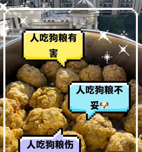 中宠食品的狗粮种类及特点（了解中宠食品狗粮，为你的狗狗提供最佳营养）
