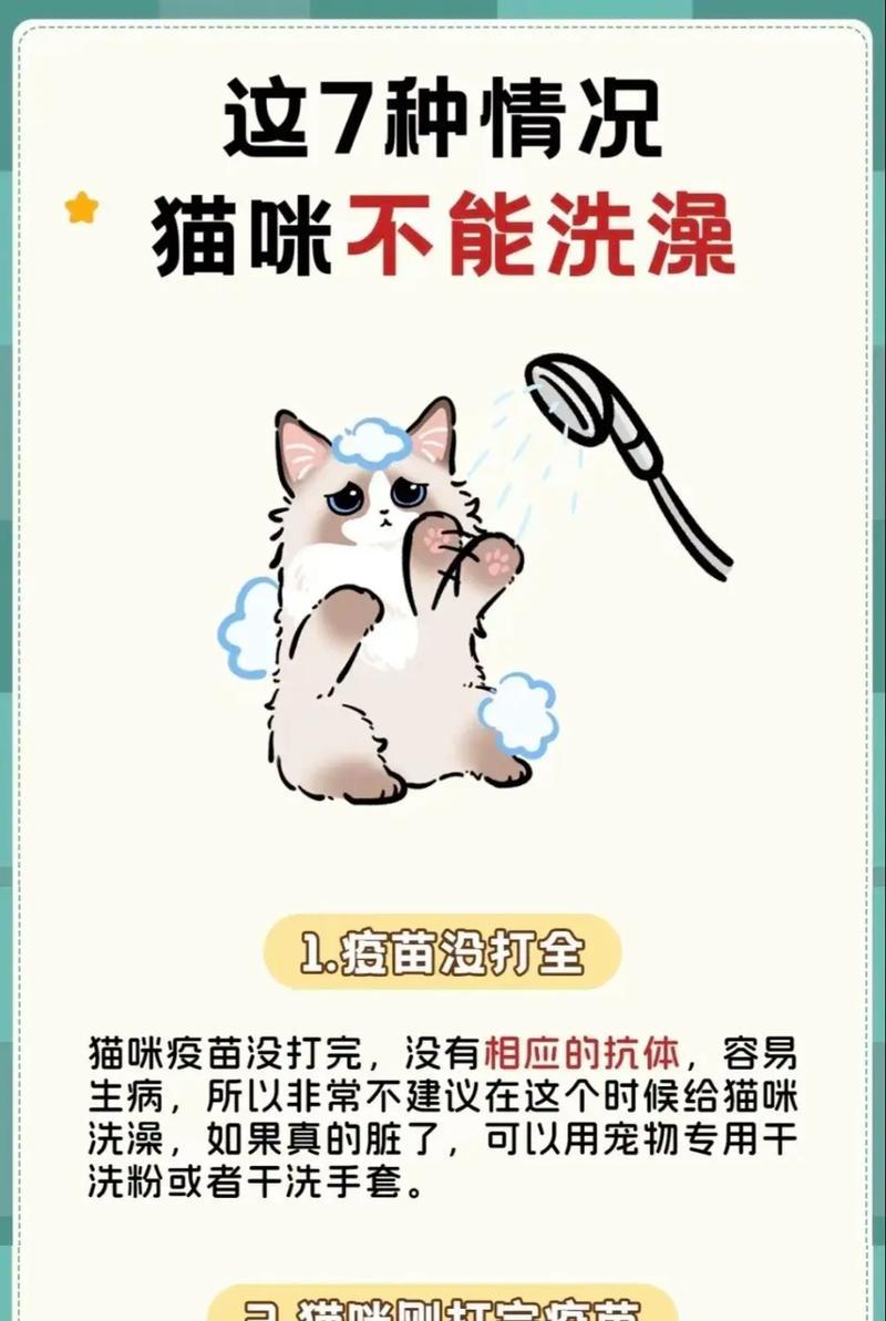 猫咪健康洗澡的必要注意事项（如何给猫咪洗澡保证它们的身体健康与舒适）