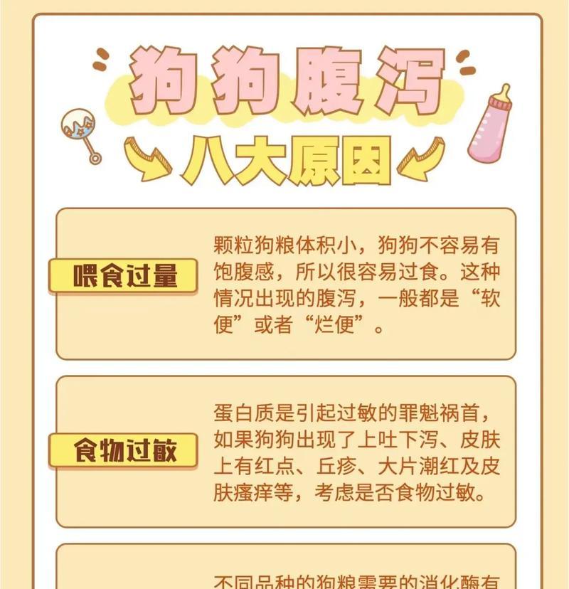 急救！教你如何止泻泰迪拉稀（科学有效的方法帮助你的泰迪摆脱腹泻困扰）