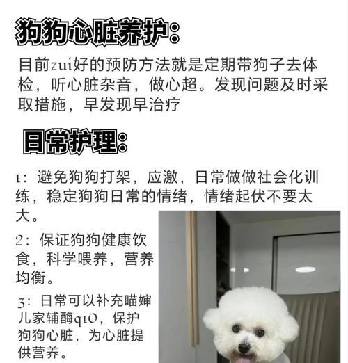 比熊打完防疫针后多久可以洗澡？（探讨比熊接种疫苗后的洗澡时间及注意事项）