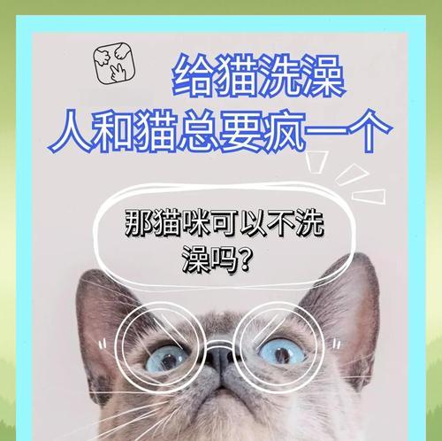 猫咪洗澡时间（探讨小猫咪何时可以开始洗澡，宠物护理的小窍门！）