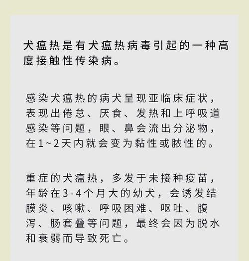 犬瘟发病期症状一览（详解犬瘟发病期的常见症状与表现）
