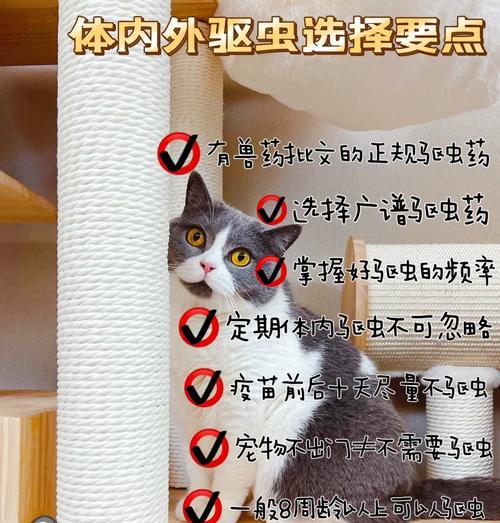 猫滴了驱虫，多久见效？（了解猫滴了驱虫的效果及时间周期）
