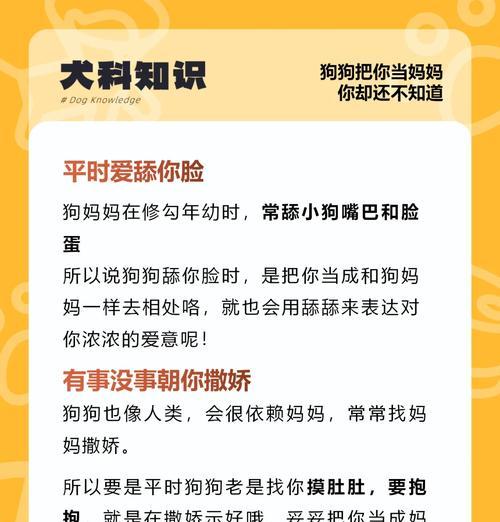 狗狗妊娠期的征兆及注意事项（狗狗妊娠期的早期征兆、中期征兆和后期征兆）