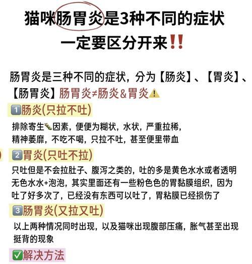 胃肠炎的临床症状及应对方法（了解胃肠炎的常见症状，有效应对胃肠炎的方法）